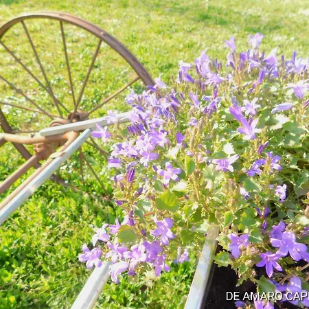 Le Puits De Garival Bed and breakfast