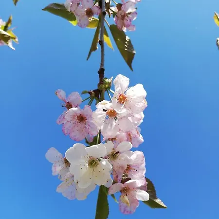 Le Puits De Garival Bed and breakfast Tour-de-Faure