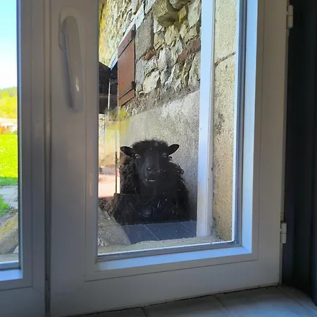 Le Puits De Garival Panzió