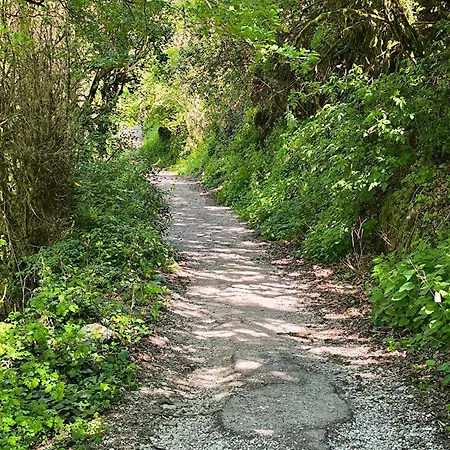 فندق مبيت وإفطار Le Puits De Garival تورْ دو فورْ